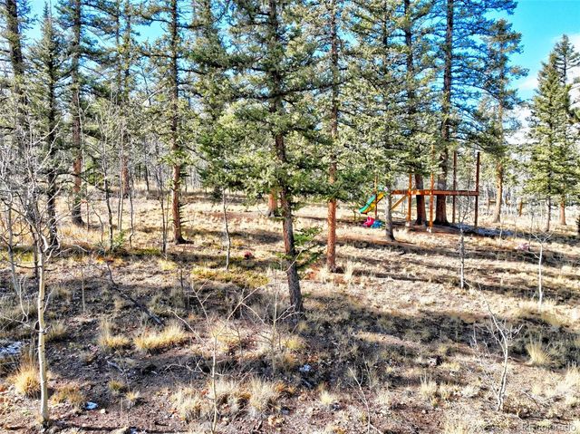 45 Swiggler, Jefferson, CO 80456
