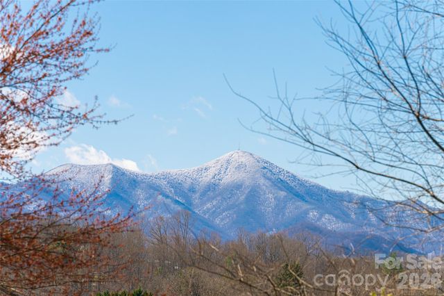 203 Pine Street, Candler, NC 28715