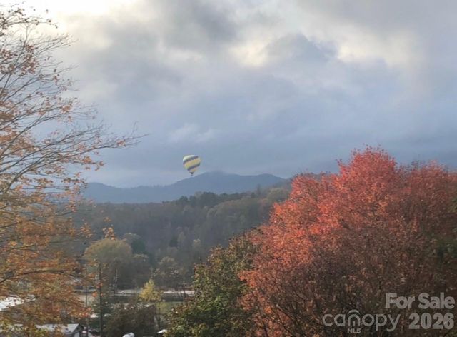 203 Pine Street, Candler, NC 28715