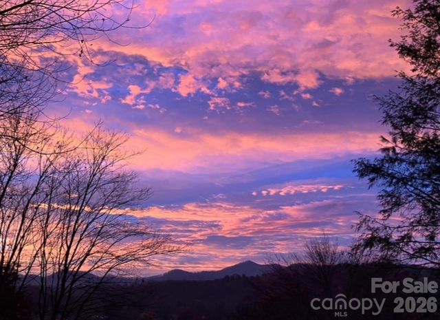 203 Pine Street, Candler, NC 28715