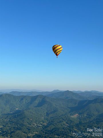 203 Pine Street, Candler, NC 28715