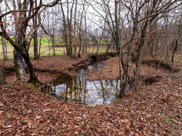 0 Shelter Branch Road, Cumberland Furnace, TN 37051