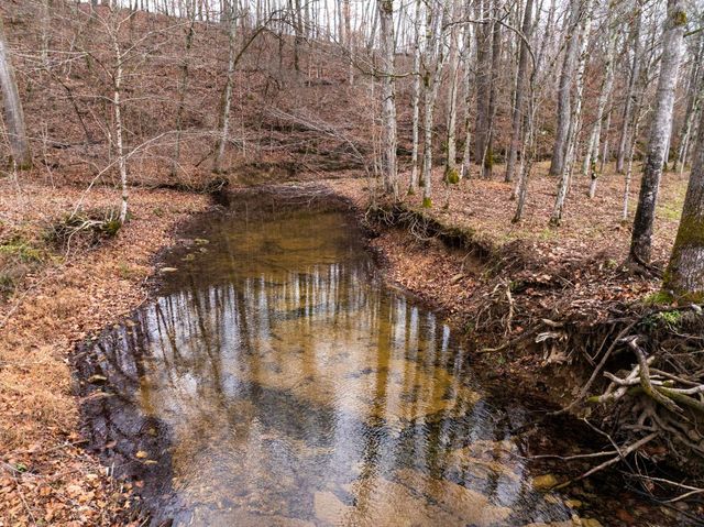 0 Shelter Branch Road, Cumberland Furnace, TN 37051