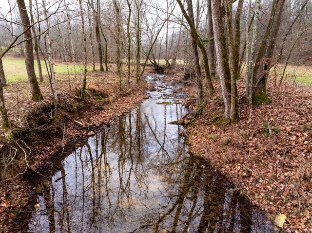 0 Shelter Branch Road, Cumberland Furnace, TN 37051