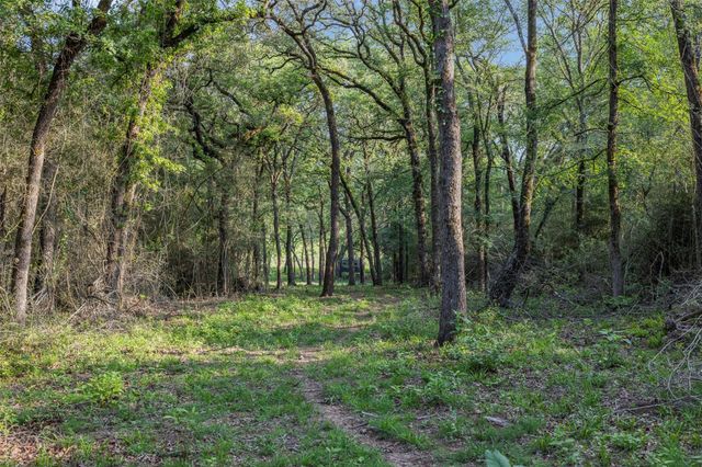 3004 County Road 310, Caldwell, TX 77836
