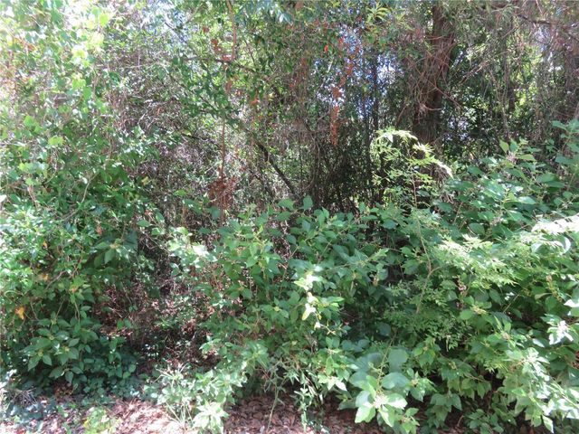 00 SE 142 PLACE, Summerfield, FL 34491