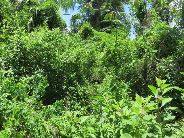 00 SE 142 PLACE, Summerfield, FL 34491