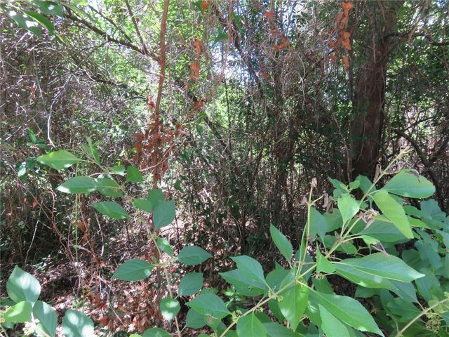 00 SE 142 PLACE, Summerfield, FL 34491
