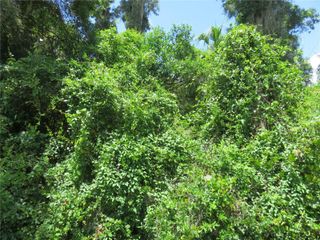 00 SE 142 PLACE, Summerfield, FL 34491