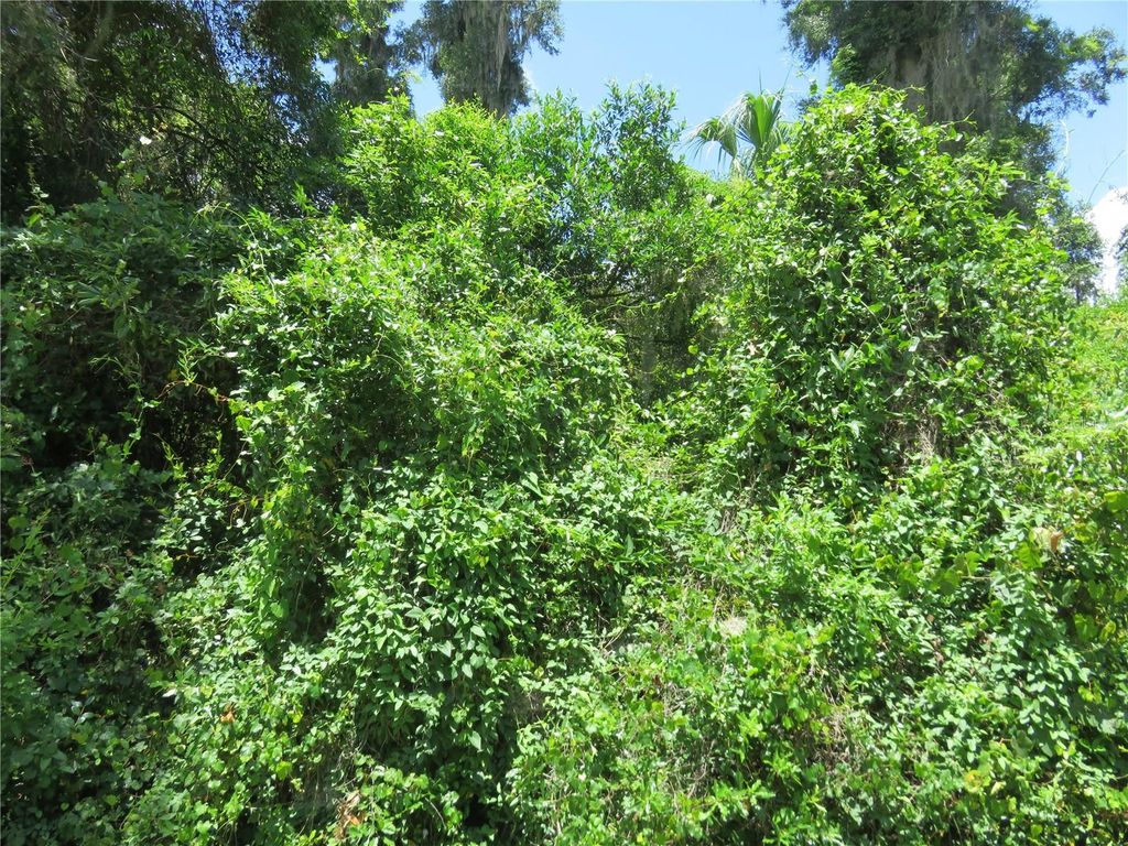 00 SE 142 PLACE, Summerfield, FL 34491