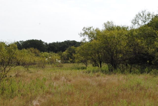 TBD CR 131, Comanche, TX 76857