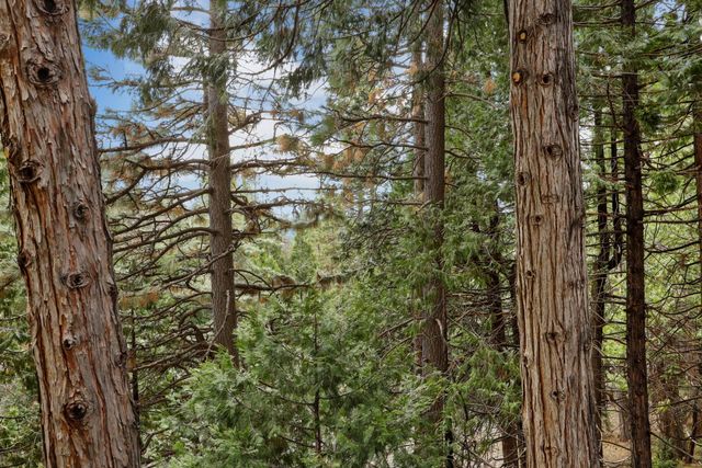 25489 Bambi Ln, Long Barn, CA 95335