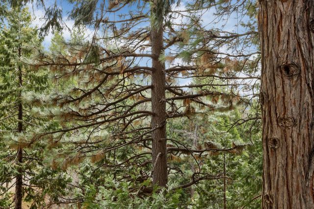 25489 Bambi Ln, Long Barn, CA 95335