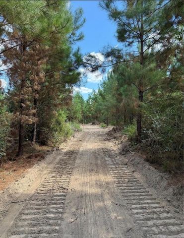 001 Bracewell Cemetery Road, Livingston, TX 77351