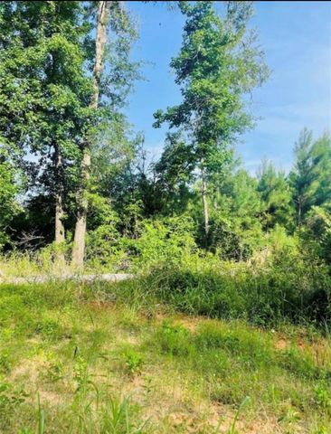 001 Bracewell Cemetery Road, Livingston, TX 77351