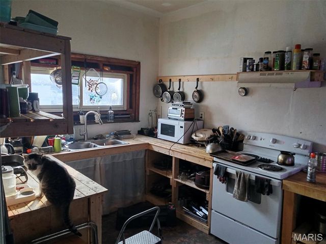 3020 Mount Pleasant Street, St Louis, MO 63111