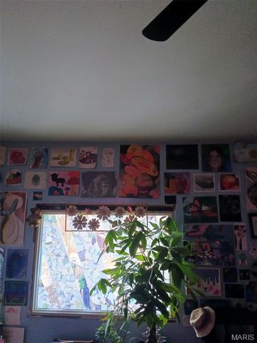 3020 Mount Pleasant Street, St Louis, MO 63111