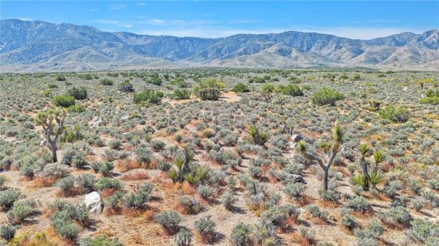 62 Mesa, Lucerne Valley, CA 92356