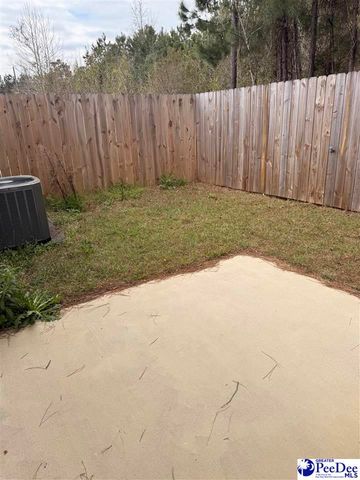 3232 Pleasant Valley Circle, Effingham, SC 29541