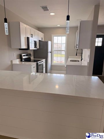 3232 Pleasant Valley Circle, Effingham, SC 29541