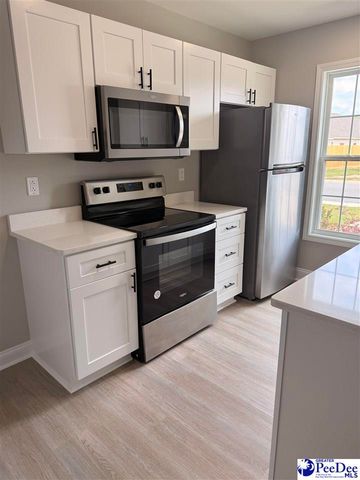 3232 Pleasant Valley Circle, Effingham, SC 29541