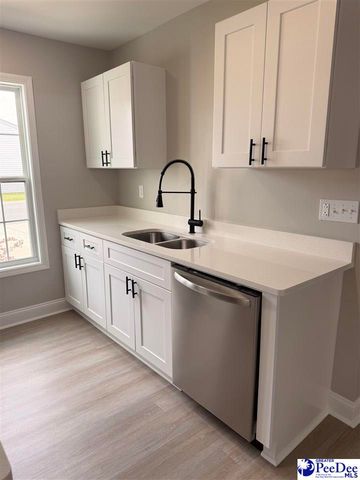 3232 Pleasant Valley Circle, Effingham, SC 29541