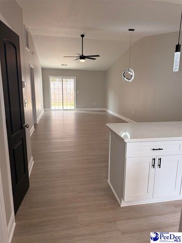 3232 Pleasant Valley Circle, Effingham, SC 29541