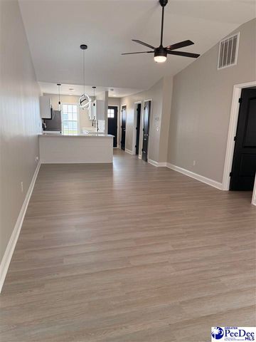 3232 Pleasant Valley Circle, Effingham, SC 29541