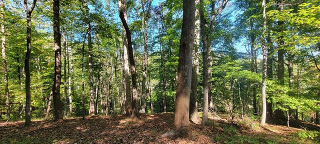 Lot 56 Summer House DR, Hardy, VA 24101