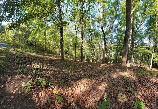 Lot 56 Summer House DR, Hardy, VA 24101