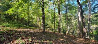 Lot 56 Summer House DR, Hardy, VA 24101