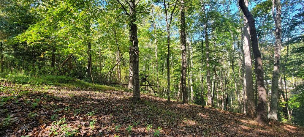 Lot 56 Summer House DR, Hardy, VA 24101