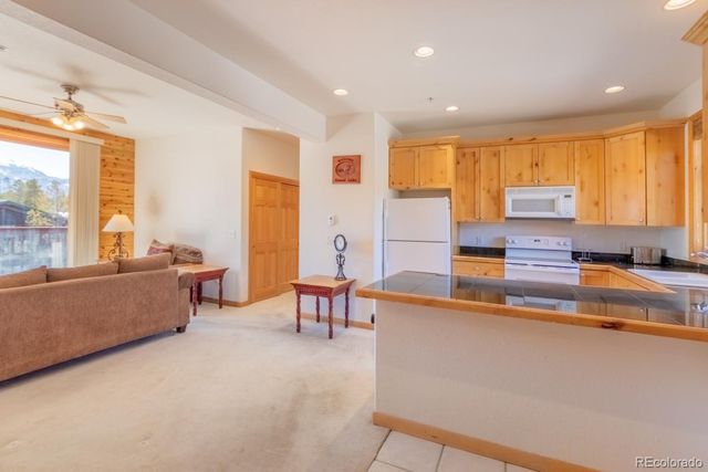 207 Bella Vista Court 215, Grand Lake, CO 80447