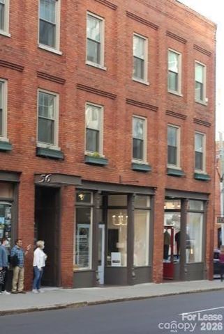 56 College Street 201, Asheville, NC 28801
