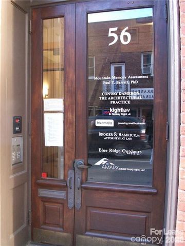 56 College Street 201, Asheville, NC 28801