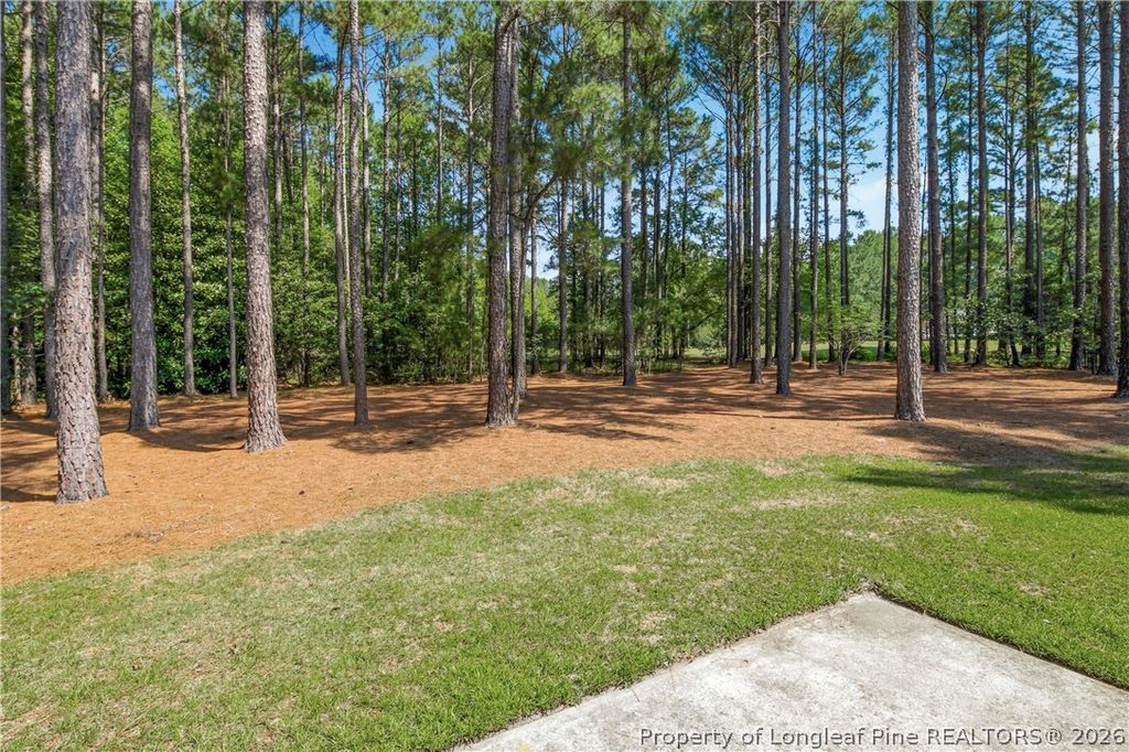 11 Rolling Pines Drive, Spring Lake, NC 28390 — photo 40