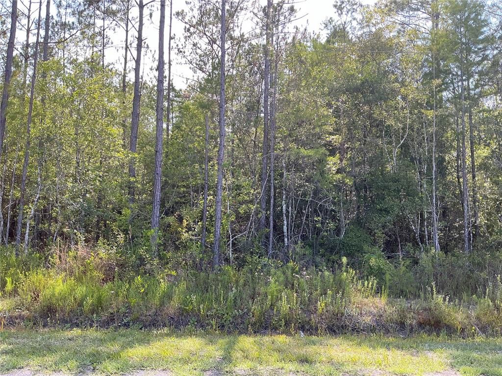 00 CROTTY AVENUE 1, Hastings, FL 32145