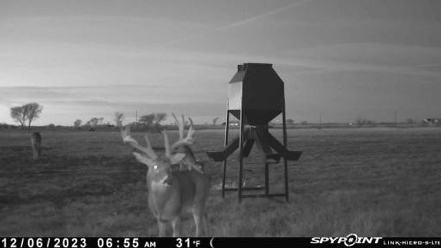 4251 Refuge Road, Sherman, TX 75092