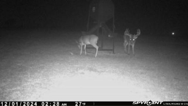 4251 Refuge Road, Sherman, TX 75092