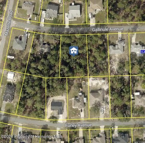 11260 Gallinule Avenue, Weeki Wachee, FL 34613