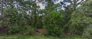 11260 Gallinule Avenue, Weeki Wachee, FL 34613