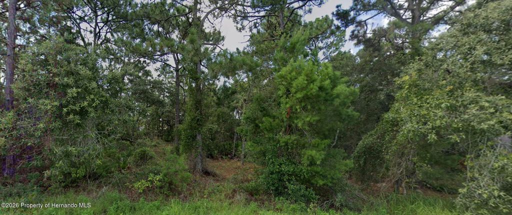 11260 Gallinule Avenue, Weeki Wachee, FL 34613