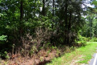 0 Cherry Hill Road, Hollywood, SC 29449