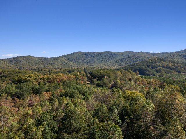 227 Mcallister Road, Copperhill, TN 37317