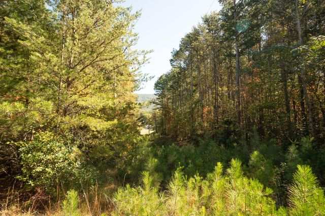 227 Mcallister Road, Copperhill, TN 37317