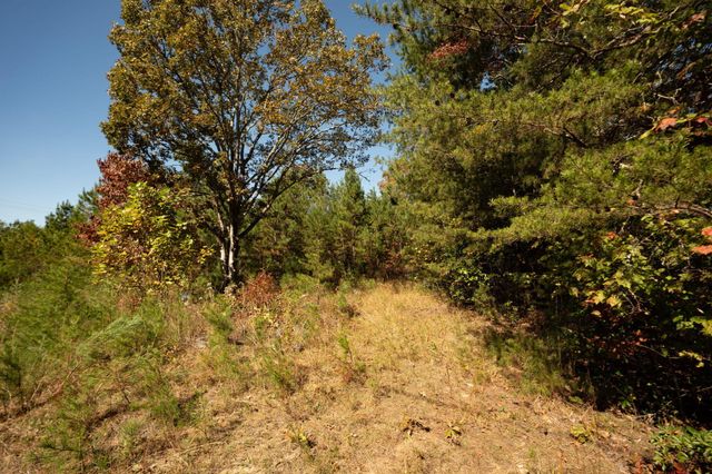 227 Mcallister Road, Copperhill, TN 37317