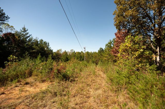 227 Mcallister Road, Copperhill, TN 37317