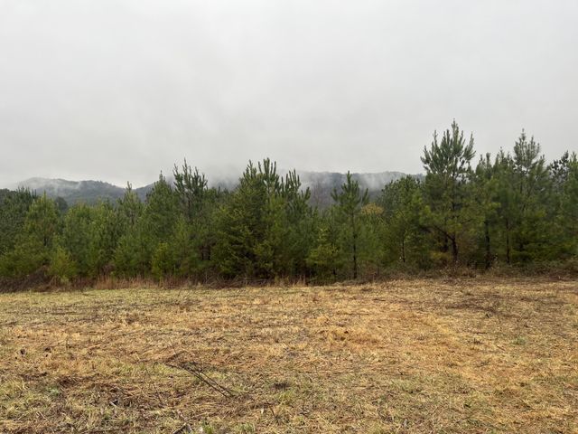 227 Mcallister Road, Copperhill, TN 37317