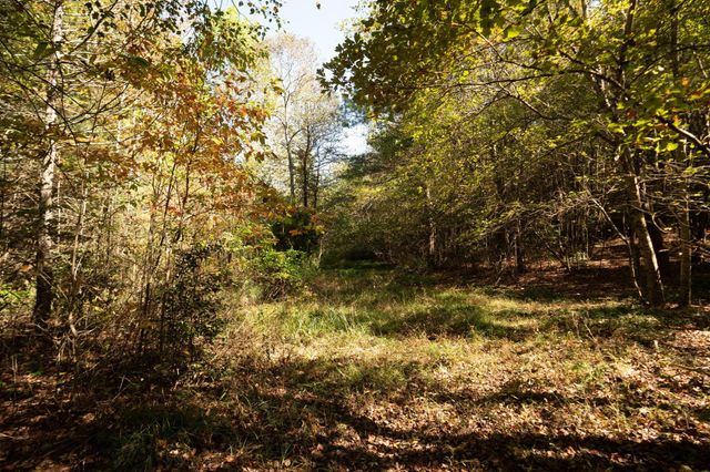 227 Mcallister Road, Copperhill, TN 37317