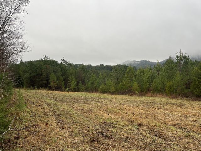 227 Mcallister Road, Copperhill, TN 37317